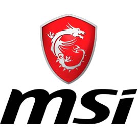 آل این وان ام اس آی