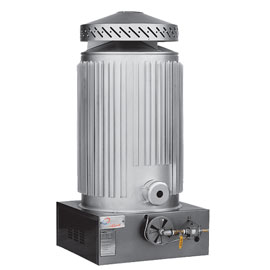 بخاری گارگاهی