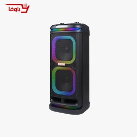 اسپیکر حرفه ای مکسیدر | مدل CN 10E42 pro | دارای 2 ساب 10 اینچی