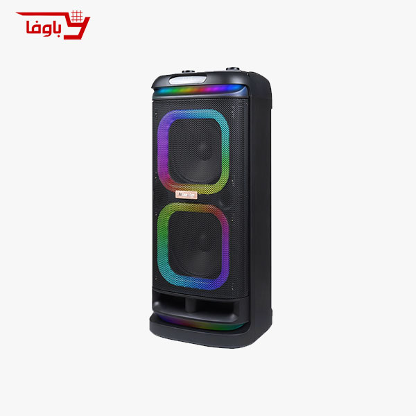 اسپیکر حرفه ای مکسیدر | مدل CN 10E42 pro | دارای 2 ساب 10 اینچی