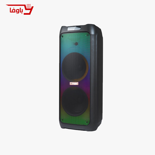 اسپیکر حرفه ای مکسیدر | مدل CN 10E46 pro | دارای 2 ساب 10 اینچی