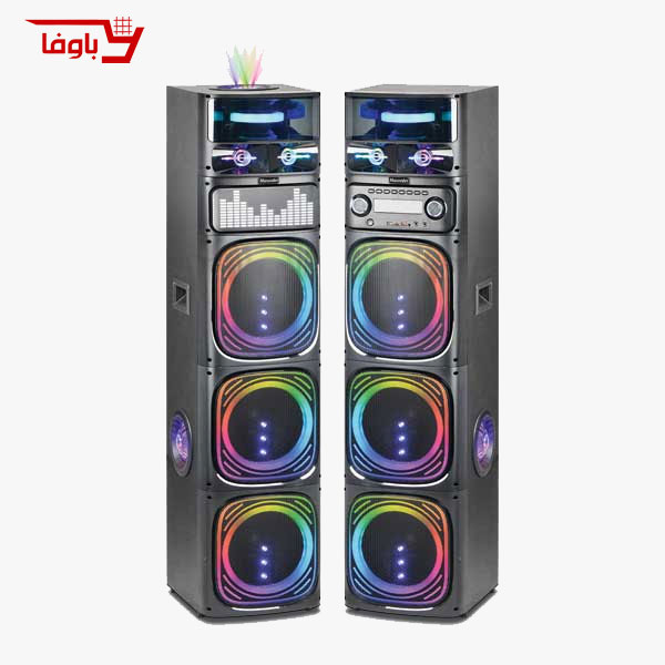 اسپیکر حرفه ای مکسیدر | مدل CN 10E12 | دارای 2 ساب 10 اینچی