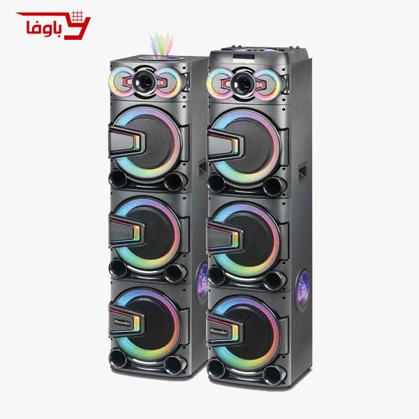 اسپیکر حرفه ای مکسیدر | مدل CN 10E08 | دارای 2 ساب 10 اینچی