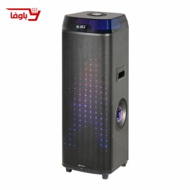اسپیکر حرفه ای آیوا | مدل AW-X1132DSP | دارای 2 ساب 12 اینچی