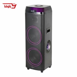 اسپیکر حرفه ای آیوا | مدل AW-X1131DSP | دارای 2 ساب 12 اینچی
