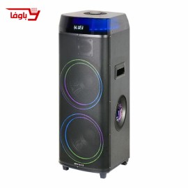اسپیکر حرفه ای آیوا | مدل AW-X1112DSP | دارای 2 ساب 10 اینچی