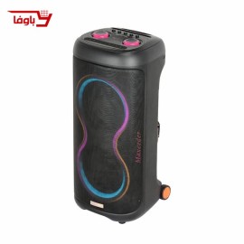 اسپیکر حرفه ای مکسیدر | مدل CN 10E47 | دارای 2 ساب 10 اینچی