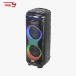 اسپیکر حرفه ای مکسیدر | مدل CN 10E02 | دارای 2 ساب 10 اینچی