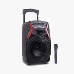 اسپیکر رکسون | چمدانی | D21