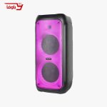 اسپیکر حرفه ای تسکو | مدل TS 2081 | دارای 2 ساب 10 اینچی