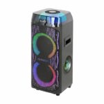 اسپیکر حرفه ای آیوا | مدل AW-X1083DSP | دارای 2 ساب 10 اینچی