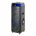 اسپیکر حرفه ای آیوا | مدل AW-X1112DSP | دارای 2 ساب 10 اینچی