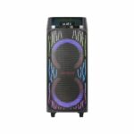 اسپیکر حرفه ای آیوا | مدل AW-X1114DSP | دارای 2 ساب 10 اینچی