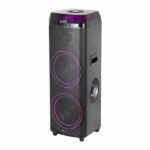 اسپیکر حرفه ای آیوا | مدل AW-X1131DSP | دارای 2 ساب 12 اینچی