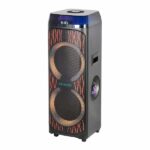 اسپیکر حرفه ای آیوا | مدل AW-X1132DSP | دارای 2 ساب 12 اینچی
